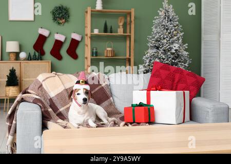 Mignon chien Jack Russell Terrier dans le bandeau de chapeau d'elfe avec des boîtes cadeaux de Noël sur le canapé à la maison Banque D'Images