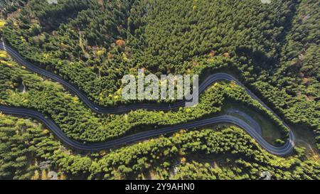 Vue aérienne de dessus de la route courbe traversant la forêt. Col de montagne Hi en Transylvanie, Roumanie, Europe Banque D'Images