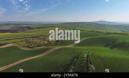 Vue aérienne d'étonnantes collines ondulées vertes avec des champs agricoles au printemps. Moravie du Sud, République tchèque, Europe Banque D'Images