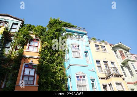 turquie istanbul 16 mai 2024.,façades vibrantes et colorées complétées par de la verdure dans un cadre urbain animé à balat Banque D'Images