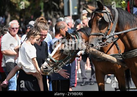 Badacsony, Lac Balaton, Hongrie - 8 septembre 2024 : défilé de rue du festival des vendanges, enfant et mère nourrissant des raisins à cheval Banque D'Images