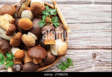 Un éventail de divers champignons frais, y compris différentes formes et couleurs, est exposé aux côtés de brins d'herbes fraîches dans un panier tissé sur un rustique Banque D'Images