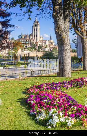 Fleurs sur la place Reina en face de la cathédrale de Ségovie, Espagne Banque D'Images