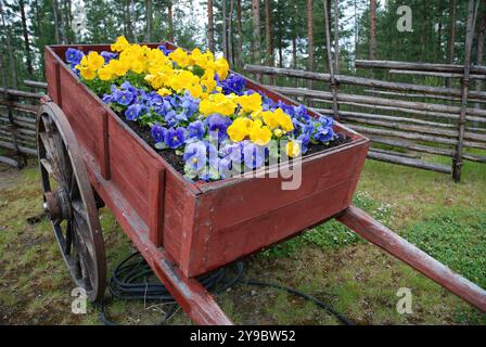 Vieux chariot en bois rouge débordant de pansies bleues et jaunes, créant un charmant affichage dans un cadre de jardin luxuriant Banque D'Images