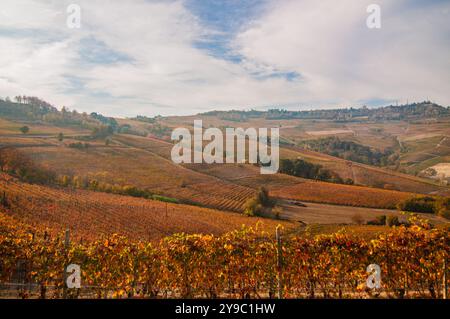 BAROLO, ITALIE – 21 OCTOBRE 2022 : les vignobles renommés de Barolo s'étendent sur des collines vallonnées, produisant certains des meilleurs vins d'Italie. Banque D'Images