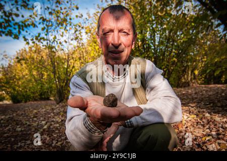 ALBA, ITALIE – 21 OCTOBRE 2022 : un chasseur de truffes recherche des truffes prisées dans les bois luxuriants d'Alba, mettant en valeur le riche patrimoine culinaire de la région Banque D'Images