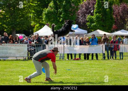 Montelupo Fiorentino, Italie - 07 mai 2017 : au parc Ambrogiana, les chiens et leurs propriétaires ont montré de nombreuses activités pour soutenir les activités de thérapie pour animaux de compagnie Banque D'Images