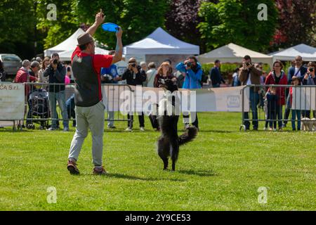 Montelupo Fiorentino, Italie - 07 mai 2017 : au parc Ambrogiana, les chiens et leurs propriétaires ont montré de nombreuses activités pour soutenir les activités de thérapie pour animaux de compagnie Banque D'Images