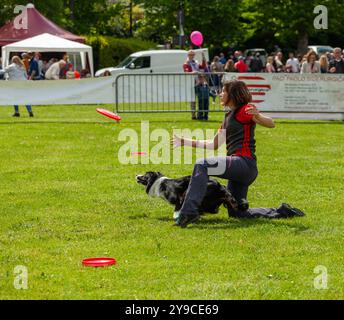 Montelupo Fiorentino, Italie - 07 mai 2017 : au parc Ambrogiana, les chiens et leurs propriétaires ont montré de nombreuses activités pour soutenir les activités de thérapie pour animaux de compagnie Banque D'Images