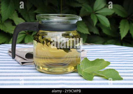Thé de feuilles de figue dans une théière sur une nappe rayée en gros plan de jardin. Banque D'Images