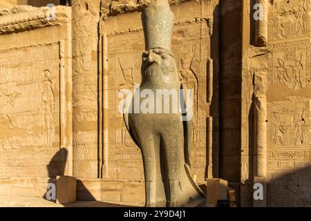 Rendez-vous au temple d'Edfou et admirez la majesté d'Horus, le Dieu du ciel, dont la couronne représente sa domination sur l'Égypte. Banque D'Images