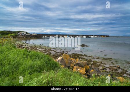 En regardant vers le sud à Maidens Pier et la marina depuis le front de mer au village de Maidens, près de Turnberry, Ayrshire, au sud-ouest de l'Écosse. Marée bien et rock Banque D'Images