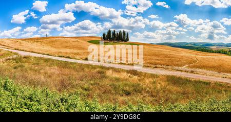 SAN QUIRICO d'ORCIA, ITALIE - 23 JUIN: Vue panoramique d'un groupe emblématique de cyprès à San Quirico d'Orcia, province de Sienne, Toscane, Italie, comme voir Banque D'Images