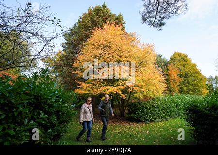 Visiteurs à l'Arboretum de Bodenham où les arbres montrent des couleurs automnales, à Kidderminster, Worcestershire. Date de la photo : jeudi 10 octobre 2024. Banque D'Images