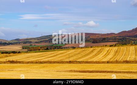 Dundee, Tayside, Écosse, Royaume-Uni. 10 octobre 2024. Météo britannique : le soleil froid de l'automne offre une vue magnifique sur les champs d'orge à whisky récoltés et le paysage de Dundee Strathmore Valley et Sidlaw Hills en Écosse. Crédit : Dundee Photographics/Alamy Live News Banque D'Images