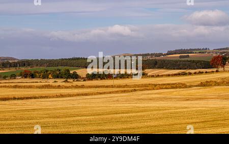 Dundee, Tayside, Écosse, Royaume-Uni. 10 octobre 2024. Météo britannique : le soleil froid de l'automne offre une vue magnifique sur les champs d'orge à whisky récoltés et le paysage de Dundee Strathmore Valley et Sidlaw Hills en Écosse. Crédit : Dundee Photographics/Alamy Live News Banque D'Images