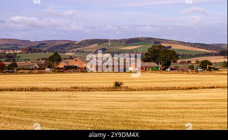 Dundee, Tayside, Écosse, Royaume-Uni. 10 octobre 2024. Météo britannique : le soleil froid de l'automne offre une vue magnifique sur les champs d'orge à whisky récoltés et le paysage de Dundee Strathmore Valley et Sidlaw Hills en Écosse. Crédit : Dundee Photographics/Alamy Live News Banque D'Images