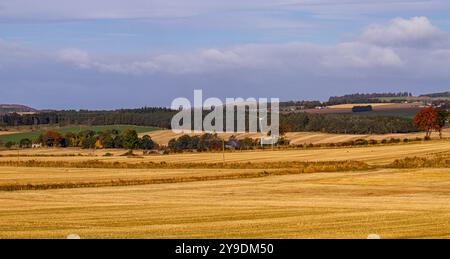 Dundee, Tayside, Écosse, Royaume-Uni. 10 octobre 2024. Météo britannique : le soleil froid de l'automne offre une vue magnifique sur les champs d'orge à whisky récoltés et le paysage de Dundee Strathmore Valley et Sidlaw Hills en Écosse. Crédit : Dundee Photographics/Alamy Live News Banque D'Images