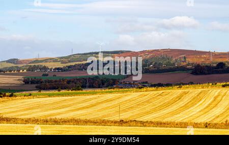 Dundee, Tayside, Écosse, Royaume-Uni. 10 octobre 2024. Météo britannique : le soleil froid de l'automne offre une vue magnifique sur les champs d'orge à whisky récoltés et le paysage de Dundee Strathmore Valley et Sidlaw Hills en Écosse. Crédit : Dundee Photographics/Alamy Live News Banque D'Images