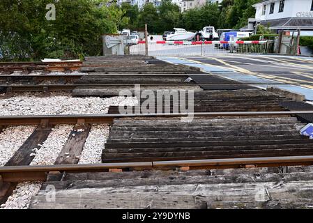 Rails anti-intrusion arris le long du passage à niveau à la station Kingswear sur le chemin de fer à vapeur de Dartmouth. Banque D'Images