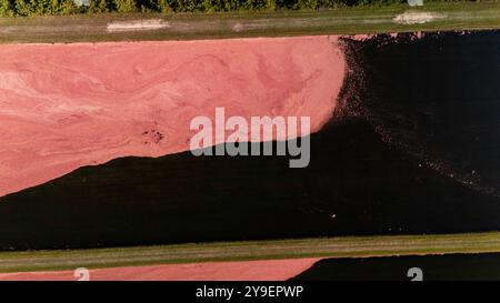 Photographie aérienne de tourbières de canneberges et récolte dans le centre du Wisconsin par un beau matin d'automne. Banque D'Images