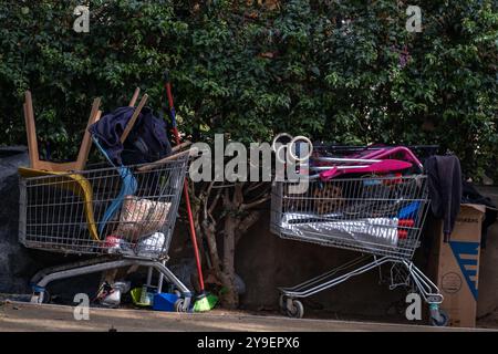 Barcelone, Espagne. 10 octobre 2024. Deux chariots sont vus remplis des biens d'une personne sans-abri dans Passeig Picasso. Vivre dans la rue, le manque de revenus ou l'alcoolisme sont des circonstances personnelles indésirables et fortuites qui entraînent une détérioration de la santé mentale d'une personne. Depuis le 1992 octobre, le 10 octobre est célébré comme la Journée mondiale de la santé mentale. Crédit : SOPA images Limited/Alamy Live News Banque D'Images