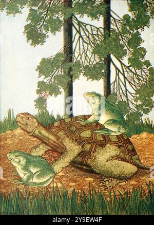 Corinne Ingraham - The Peacock and the Wish-Fairy and Other Stories - 1921 - Hie Turtle s'en va patiemment avec MRS Frog chevauchant sur son dos Banque D'Images