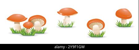 Modèle vectoriel sans couture avec de mignons champignons forestiers de bande dessinée. Boletus de champignon comestible sur fond blanc. Illustration de Vecteur