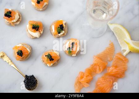 Délicats blinis de saumon fumé avec une touche de caviar noir et d'aneth frais, parfaits pour une réunion élégante ou une fête gastronomique. Banque D'Images