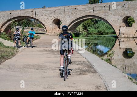 Cycliste masculin sur le Velo verte approchant Béziers, département de l'Hérault dans la région Occitanie, France. Banque D'Images