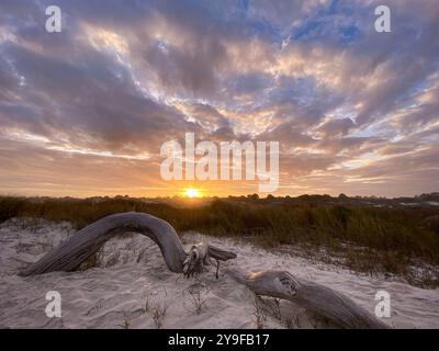 Little Talbot Sunset, Little Talbot Island, Floride Banque D'Images