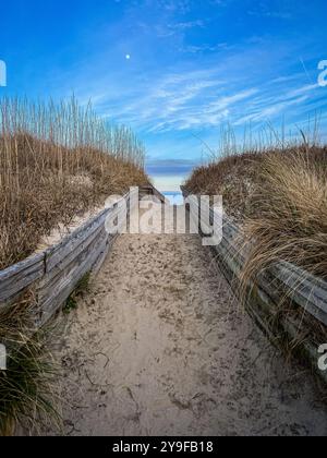 Moon Over Sand Dune Path, Outer Banks, Caroline du Nord Banque D'Images