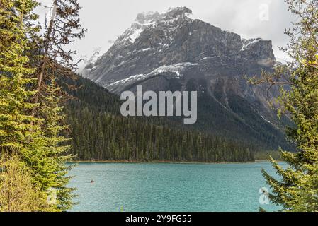 Superbes scènes de la nature à Emerald Lake, parc national Yoho pendant l'été avec canot rouge en vue sur l'eau turquoise, énorme sommet de montagne et boréal Banque D'Images