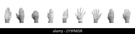 Gestes de la main, paumes fixées. Vecteur de style demi-ton isolé sur fond blanc. Illustration de Vecteur