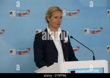 Berlin, Allemagne, 8 octobre 2024. Dr Alice Weidel, chef du groupe parlementaire AFD, lors d’un communiqué de presse devant un groupe parlementaire. Banque D'Images