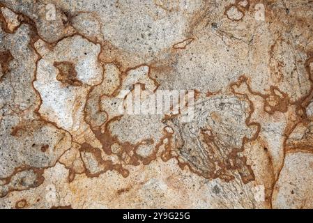 Détail rocheux au parc régional de Harris Beach sur la côte sud de l'Oregon. Banque D'Images