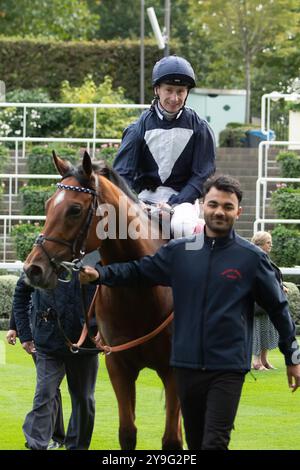 Ascot, Berkshire, Royaume-Uni. 4 octobre 2024. HOLKHAM BAY (n°3) monté par le jockey Oisin Murphy remporte les BetMGM handicap Stakes (classe 2) à Ascot Racecourse dans le Berkshire lors du BetMGM Autumn Friday Raceday. Propriétaire Norfolk Thoroughbreds, entraîneur William Knight, Newmarket, éleveur Hellwood Stud Farm, commanditaire William Knight Racing Ltd Crédit : Maureen McLean/Alamy Banque D'Images