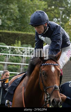 Ascot, Berkshire, Royaume-Uni. 4 octobre 2024. HOLKHAM BAY (n°3) monté par le jockey Oisin Murphy remporte les BetMGM handicap Stakes (classe 2) à Ascot Racecourse dans le Berkshire lors du BetMGM Autumn Friday Raceday. Propriétaire Norfolk Thoroughbreds, entraîneur William Knight, Newmarket, éleveur Hellwood Stud Farm, commanditaire William Knight Racing Ltd Crédit : Maureen McLean/Alamy Banque D'Images