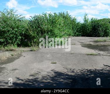 Site abandonné de l'ancien complexe d'ingénierie et de transformation de l'acier dans le Black Country, Royaume-Uni Banque D'Images