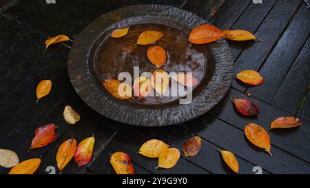 Feuilles d'automne dans un bol d'eau un jour de pluie. Banque D'Images