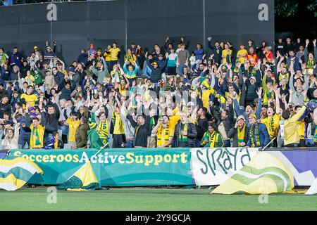 Adelaide Oval, Adélaïde, Australie 10 octobre 2024, International, qualification pour la Coupe du monde, AFC Australia vs China PR, les fans de Socceroo australien célèbrent la victoire 3 à 1 de l'Australie sur China PR Credit ; Mark Willoughby/ALAMY Live News Banque D'Images