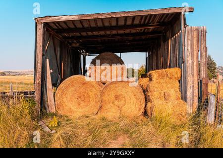 Les piles de foin dans les balles et les carrés sont coincées dans un petit hangar en bois métallique avec l'avant et l'arrière ouverts. Le ciel est bleu. Le soleil jette une ombre sur la nouvelle récolte. Banque D'Images