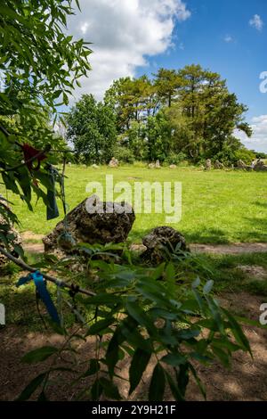 Les Rollright Stones, un complexe de monuments mégalithiques du néolithique et de l'âge du bronze près du village de long Compton, aux confins de l'Oxfordshire et de l'Ouest Banque D'Images