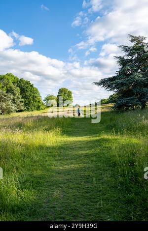 Chemins à travers les communes de Malvern dans le Worcestershire de Malvern Banque D'Images