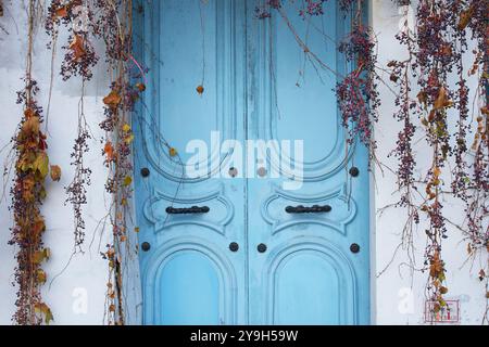 Porte bleue à Paris sur Montmartre en gros plan d'automne Banque D'Images