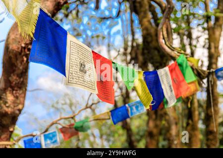 Drapeaux de prière traditionnels tibetiens dans les montagnes de l'Himalaya au Népal. Beau paysage de montagnes et ciel bleu. Drapeau rouge, jaune, vert, bleu et blanc Banque D'Images