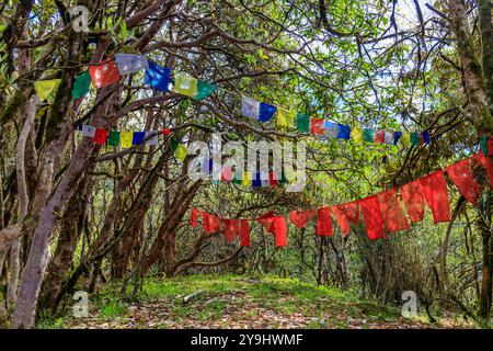 Drapeaux de prière traditionnels tibetiens dans les montagnes de l'Himalaya au Népal. Beau paysage de montagnes et ciel bleu. Drapeau rouge, jaune, vert, bleu et blanc Banque D'Images