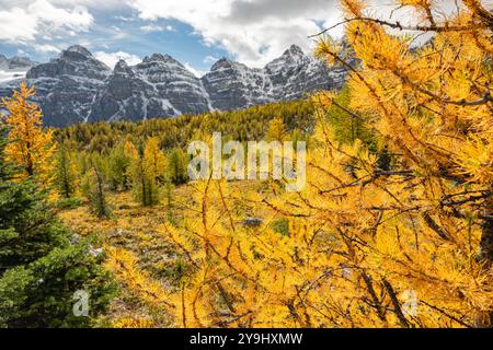 Belles vues panoramiques de l'automne à Sentinal Pass, Larch Valley en septembre avec de la neige légère couvrant l'incroyable paysage du nord du Canada, Banque D'Images