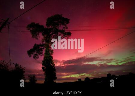 Doddiscombsleigh, Devon, Royaume-Uni. 10 octobre 2024. Météo britannique : les aurores boréales brillent de manière colorée et brillante sur Doddiscombsleigh, Devon. Aurora Borealis crédit : Nidpor/Alamy Live News Banque D'Images