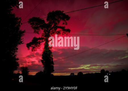 Doddiscombsleigh, Devon, Royaume-Uni. 10 octobre 2024. Météo britannique : les aurores boréales brillent de manière colorée et brillante sur Doddiscombsleigh, Devon. Aurora Borealis crédit : Nidpor/Alamy Live News Banque D'Images